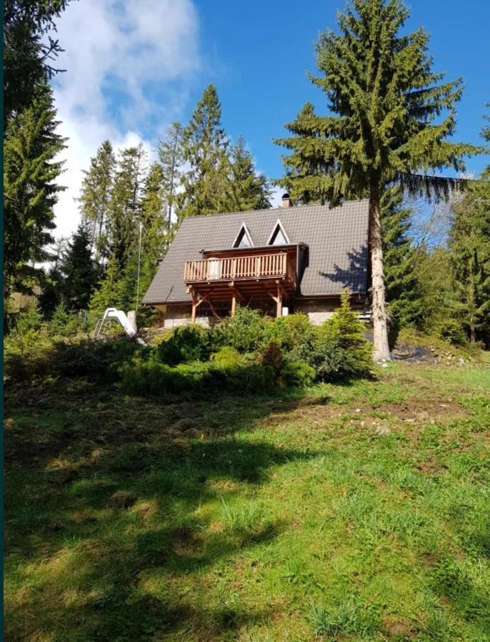 Gierkowka - Gorska Rezydencja Pierwszego Sekretarza Zwardoń Eksteriør bilde