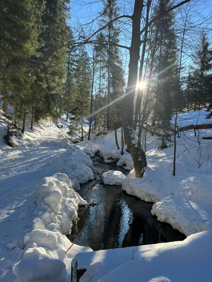 Gierkowka - Gorska Rezydencja Pierwszego Sekretarza Zwardoń Eksteriør bilde